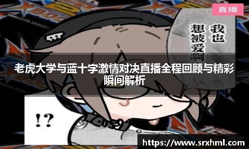 VSport体育